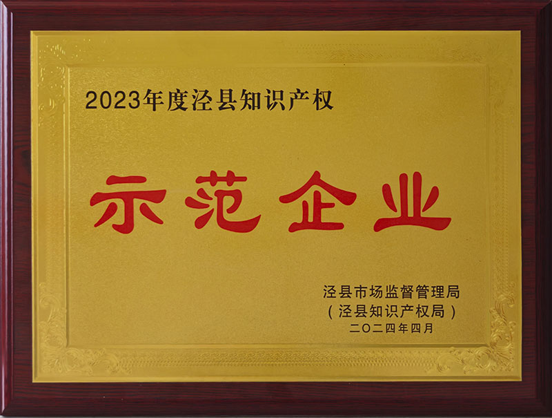 2023年度泾县知识产权示范企业