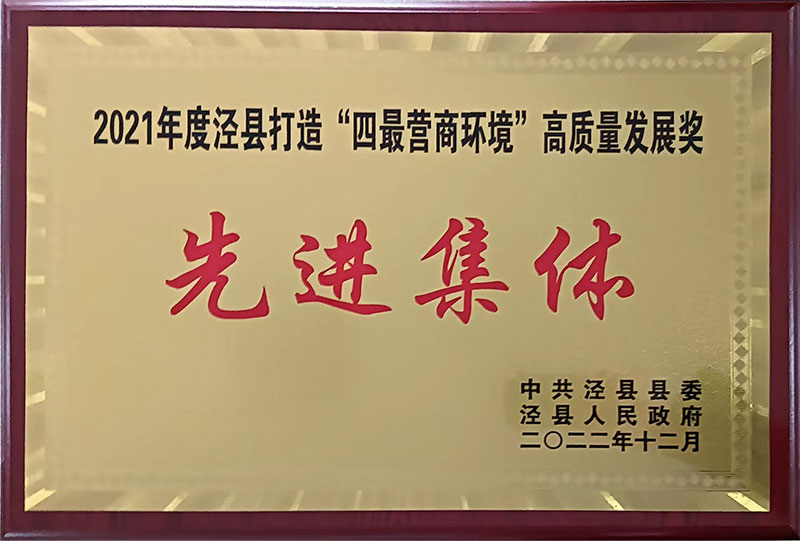 2021年度泾县打造四蕞营商环境高质量发展奖先进集体